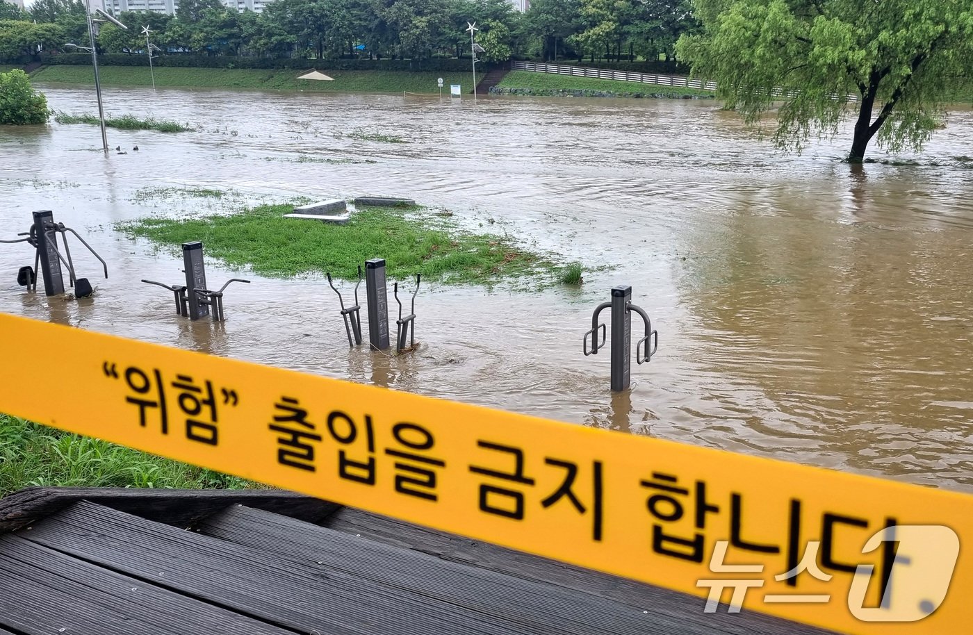 본문 이미지 - 대전을 비롯해 충남지역에 많은 비가 내린 8일 대전 갑천변이 침수돼 있다. 2024.7.8/뉴스1 ⓒ News1 김기태 기자