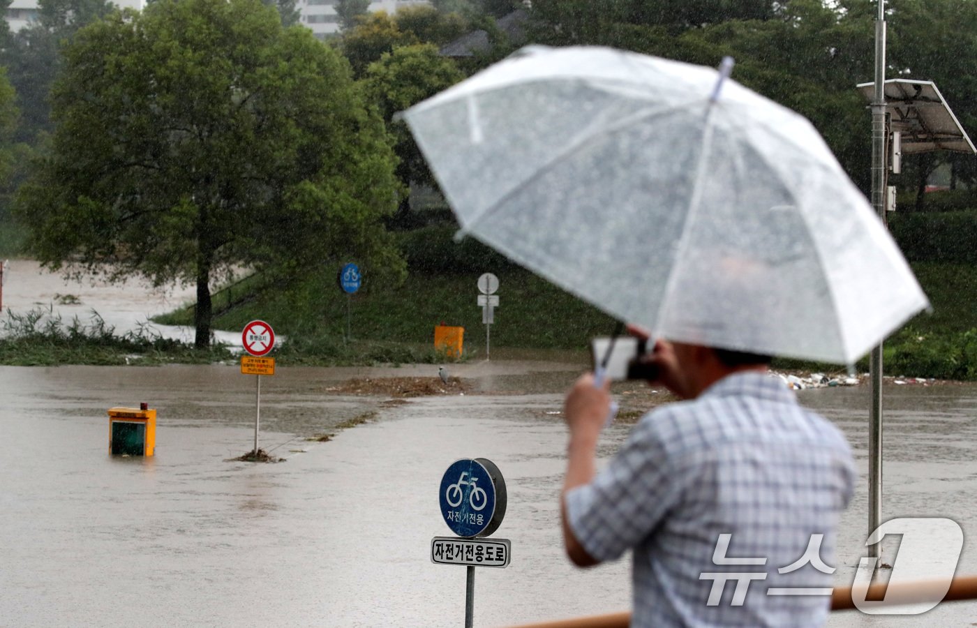 본문 이미지 - 대전을 비롯해 충남지역에 많은 비가 내린 8일 대전 갑천변이 침수돼 있다. 2024.7.8/뉴스1 ⓒ News1 김기태 기자