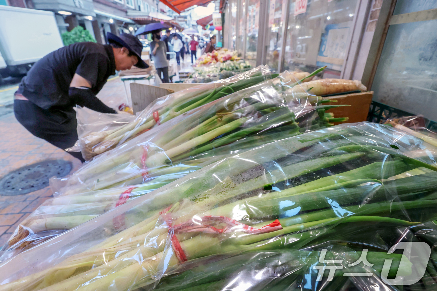 (서울=뉴스1) 민경석 기자 = 올여름 이른 폭염이 찾아온 데다 7월 들어 장마 시즌에 접어들며 출하량 감소로 주요 채소들 가격이 오름세를 보이고 있다.한국농촌경제연구원에 따르면 …