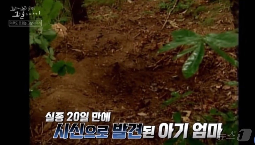 본문 이미지 - 미시령 도로확장공사를 위해 벌목하던 중 발견된 아이 엄마 암매장 장소. (SBS 갈무리) ⓒ 뉴스1