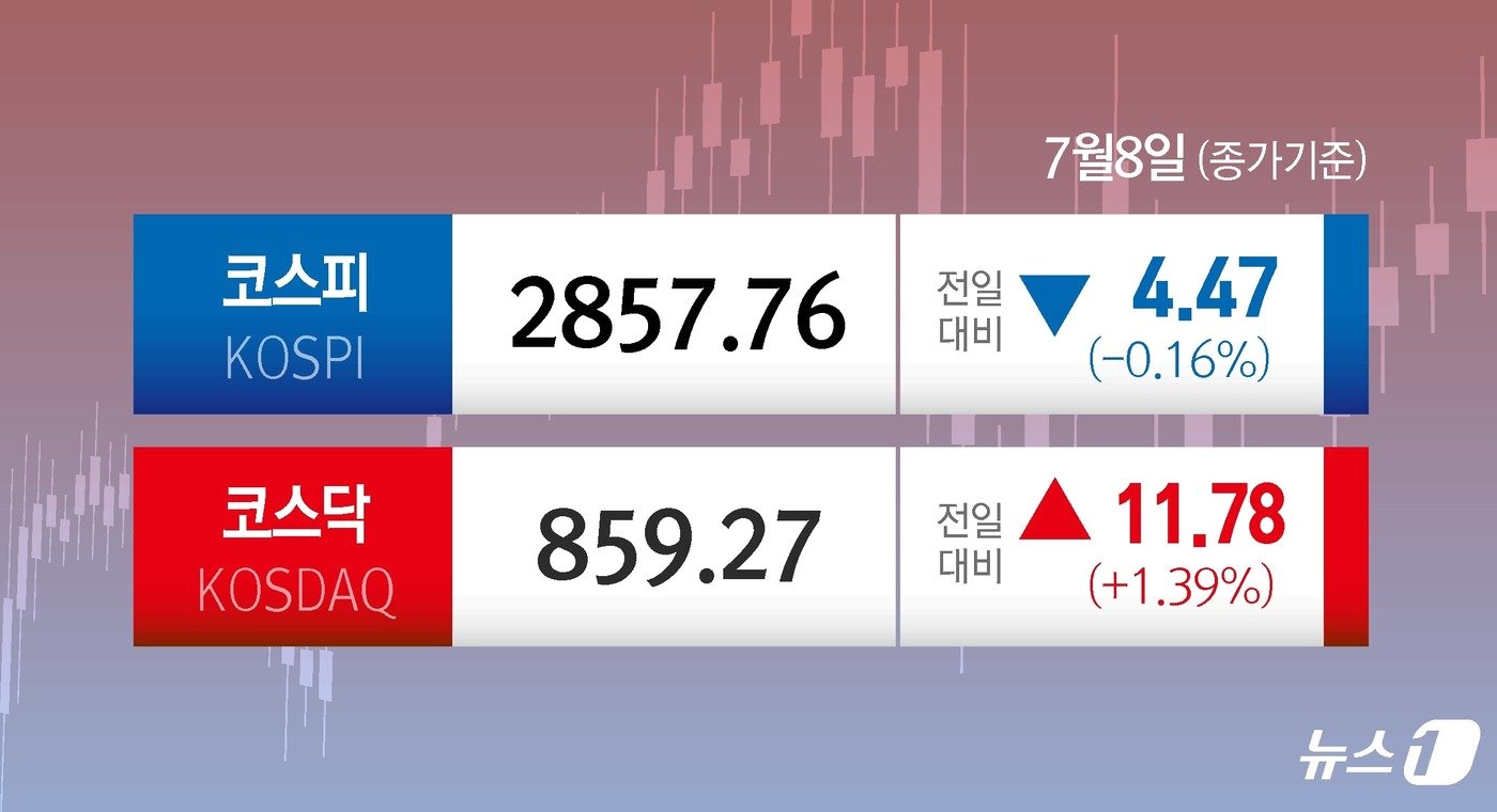 본문 이미지 - ⓒ News1 윤주희 디자이너