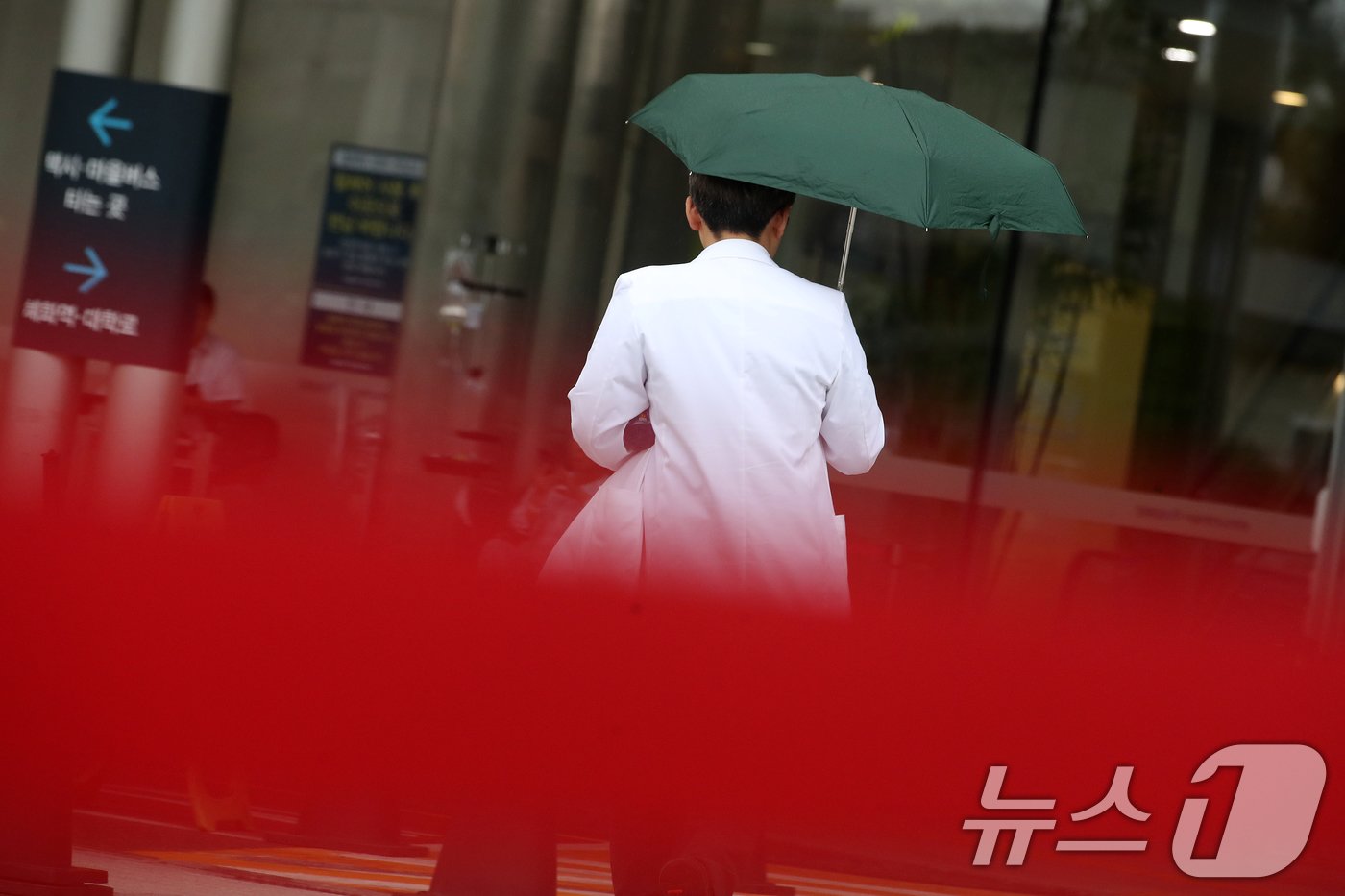 본문 이미지 - 정부가 복귀 여부에 상관없이 현장을 떠난 모든 전공의에 대해 행정처분을 하지 않기로 결정했다. 또 사직 후 복귀를 희망하는 전공의들을 위해 9월 수련에 재응시할 수 있도록 '수련 특례'를 적용하는 방안을 마련한다. 조규홍 보건복지부 장관은 8일 브리핑을 통해 이 같은 내용을 밝히며 각 수련 병원에 오는 15일까지 미복귀 전공의에 대한 사직 처리를 완료해 결원을 확정해달라고 말했다. 8일 서울시내의 한 대학병원에서 의료진이 뛰어가고 있다. 2024.7.8/뉴스1 ⓒ News1 이승배 기자