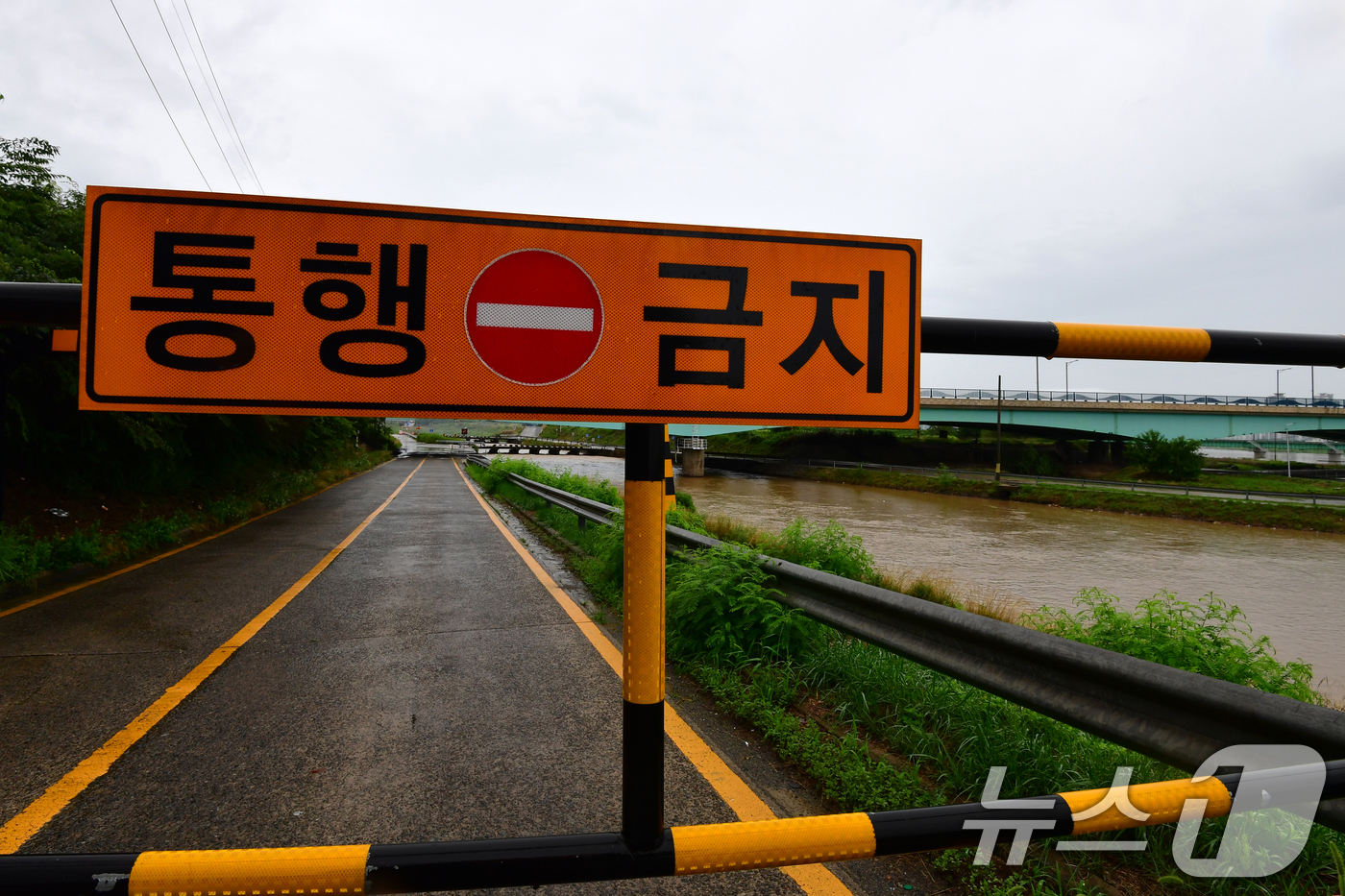 (포항=뉴스1) 최창호 기자 = 9일 오전 경북 포항시 남구 연일읍 섬안대교 하부도로가 폭우로 통제되고 있다. 2024.7.9/뉴스1