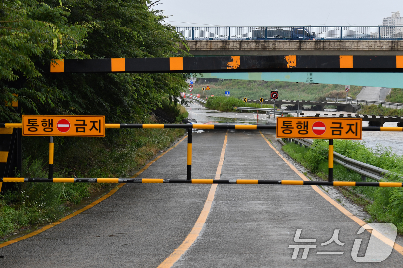 (포항=뉴스1) 최창호 기자 = 9일 오전 경북 포항시 남구 연일읍 섬안대교 하부도로가 폭우로 통제되고 있다. 2024.7.9/뉴스1