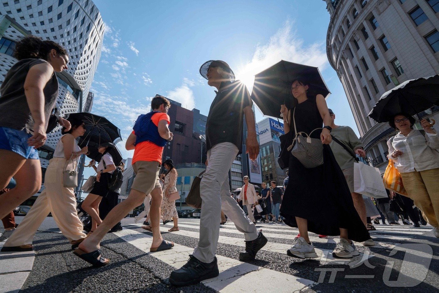 본문 이미지 - 지난달 8일 최고 온도 섭씨 35도를 기록한 일본 도쿄에서 시민들이 양산을 쓰고 교차로를 지나고 있다. 2024.07.08. ⓒ AFP=뉴스1 ⓒ News1 김종훈 기자