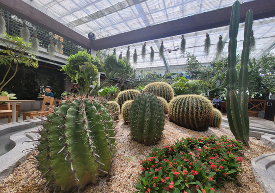 음성군, 금왕읍 용계리 화훼유통센터에 광폭형 온실 조성