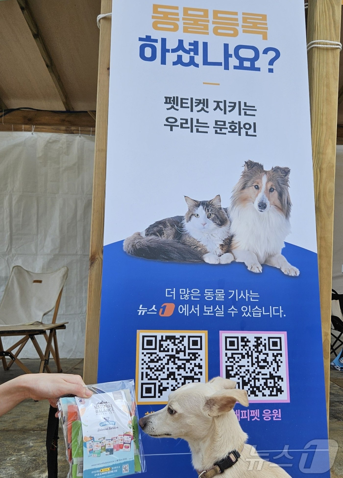 본문 이미지 - 8일 강원 양양 인구해수욕장에서 열린 '2024 뉴스1 썸머 브랜드 페스타'에서 내추럴발란스의 반려동물 영양 사료가 소개됐다. ⓒ 뉴스1 최서윤 기자