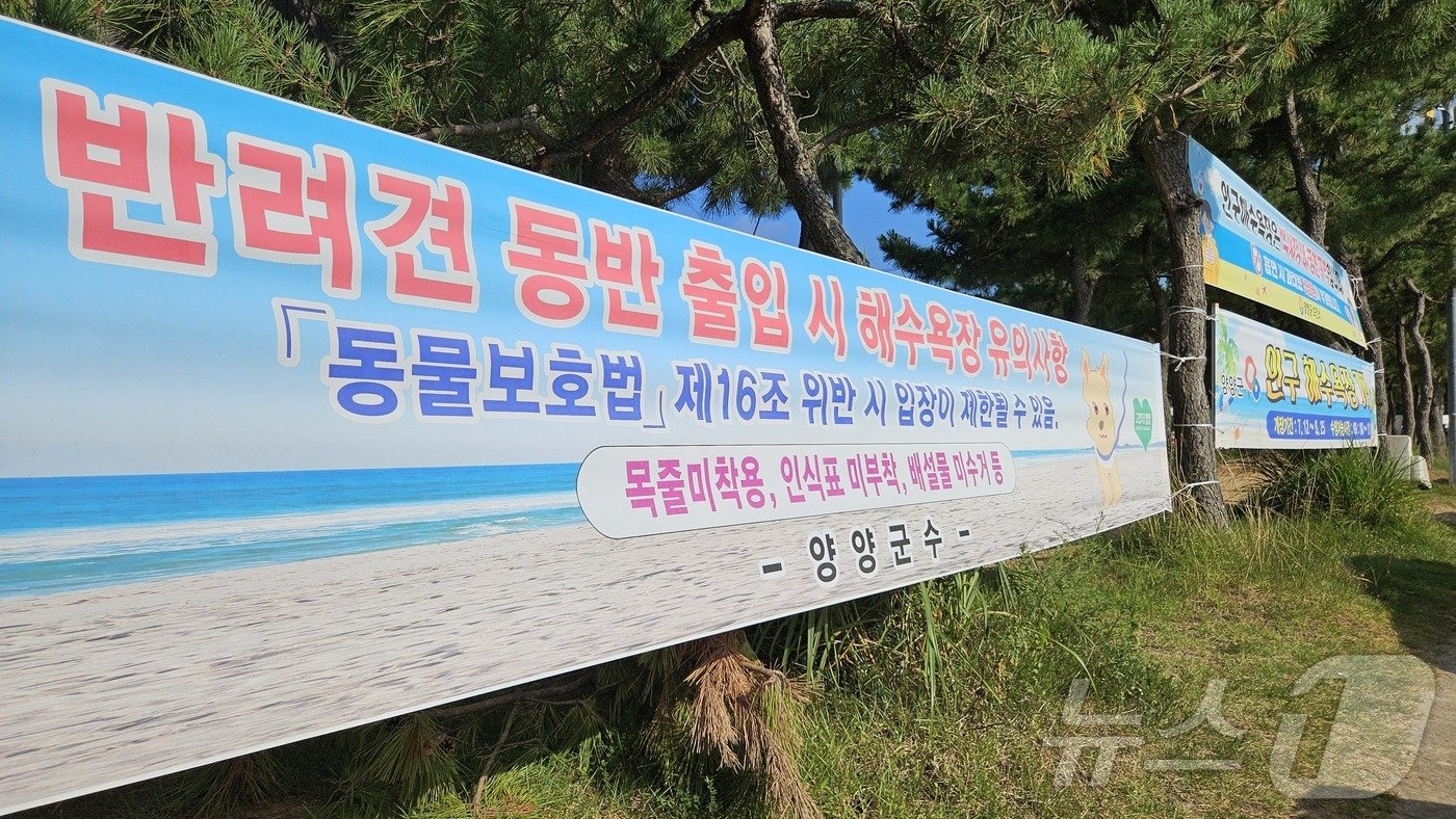 본문 이미지 - 양양 인구해수욕장 앞에 설치된 펫티켓 현수막 ⓒ 뉴스1 최서윤 기자