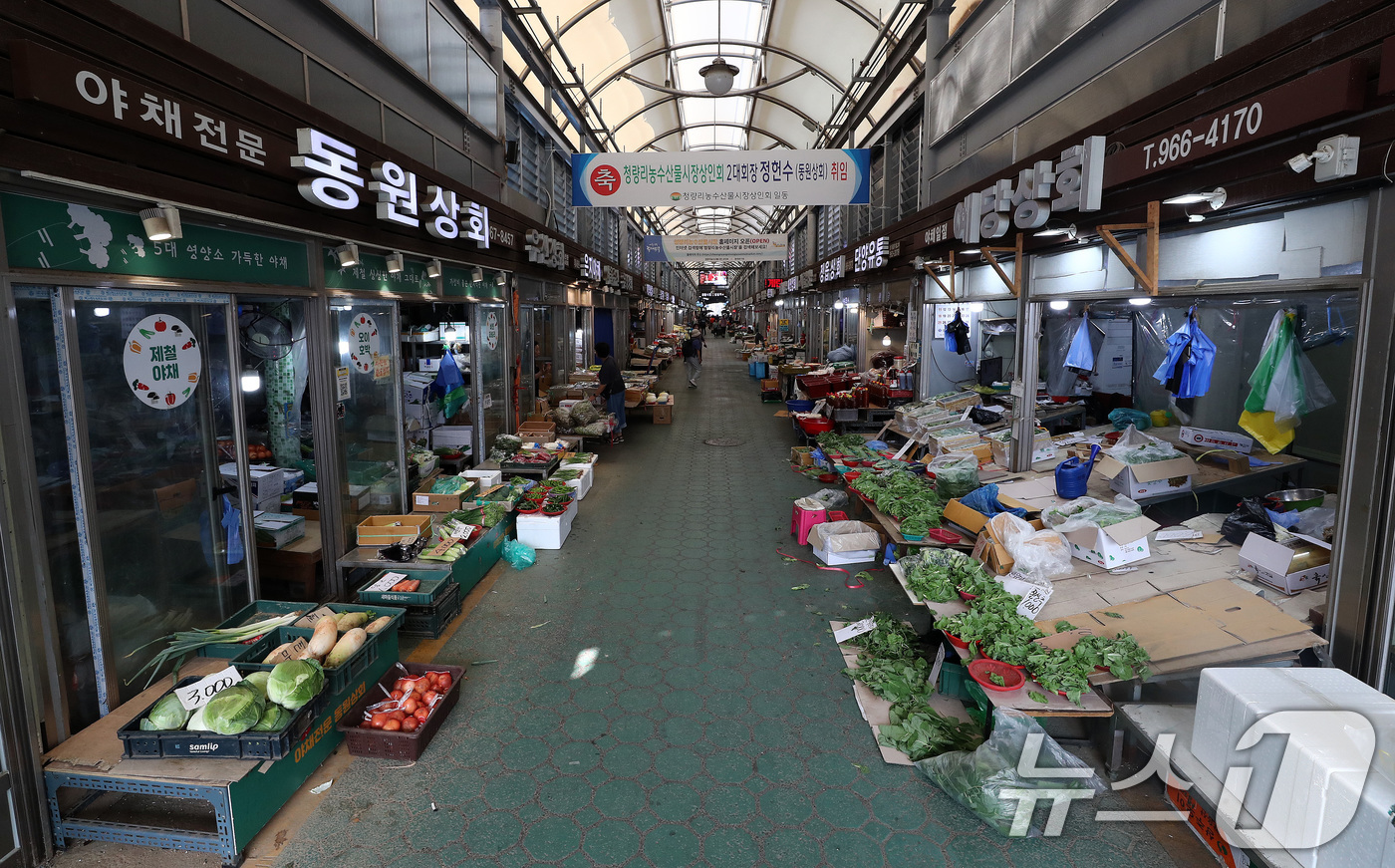 (서울=뉴스1) 박세연 기자 = 11일 동대문구 청량리농수산물시장이 주말인데도 비교적 한산한 모습을 보이고 있다.연일 이어지는 폭염에 대형마트 영업제한 해제로 전통시장이 식품 관리 …