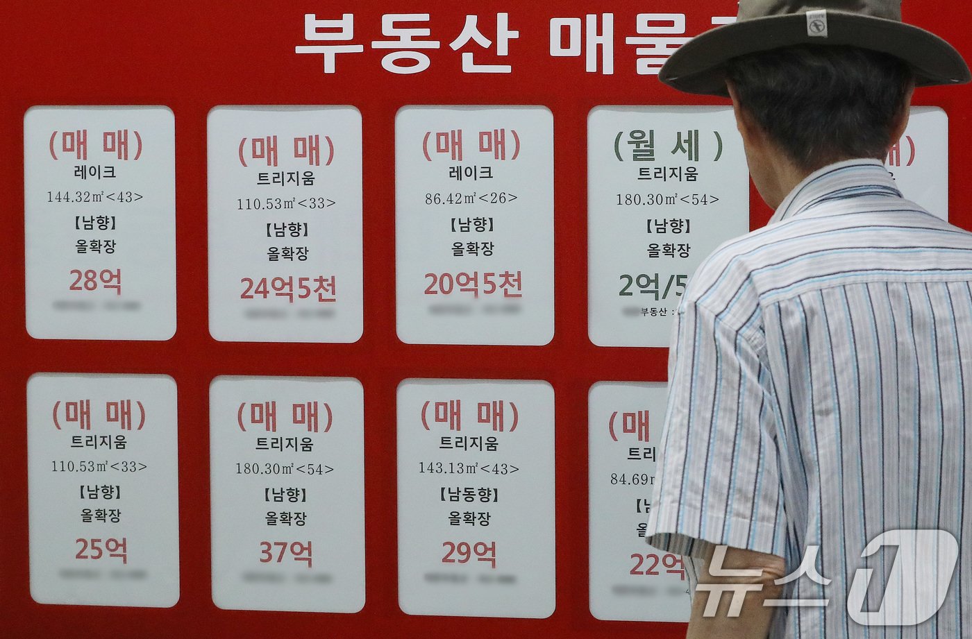 본문 이미지 - 11일 서울 송파구 부동산중개업소 앞에서 한 시민이 매물 정보를 바라보고있다. 2024.8.11/뉴스1 ⓒ News1 박세연 기자