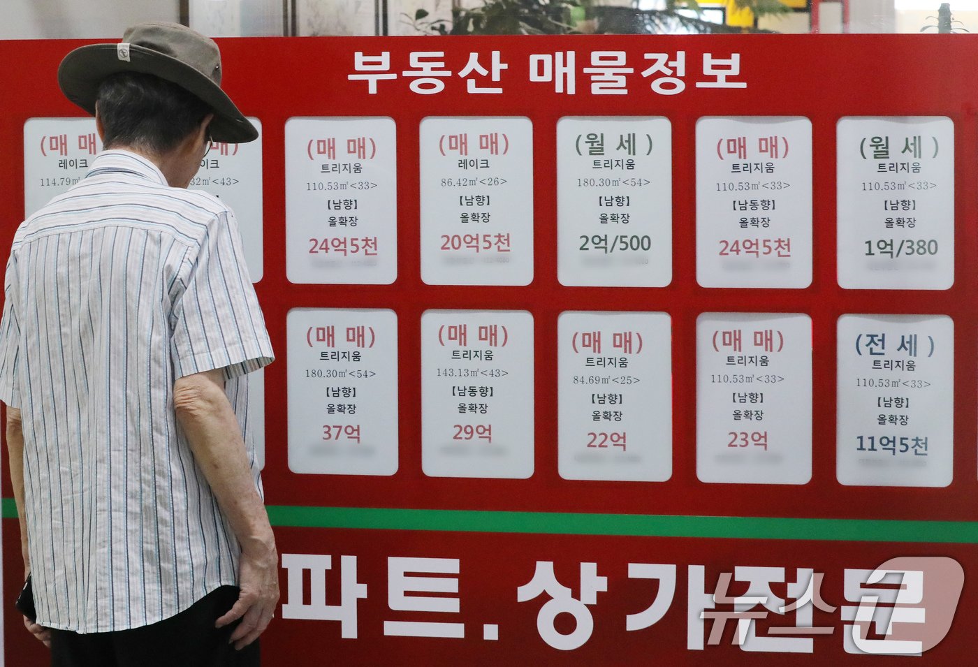 본문 이미지 - /뉴스1 ⓒ News1 박세연 기자