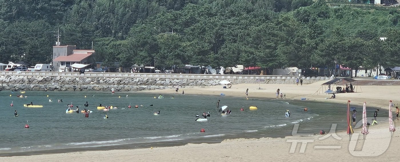 본문 이미지 - 11일 오후 남해군 상주해수욕장에 피서객들이 물놀이를 즐기고 있다.2024.8.11/뉴스1 강정태 기자