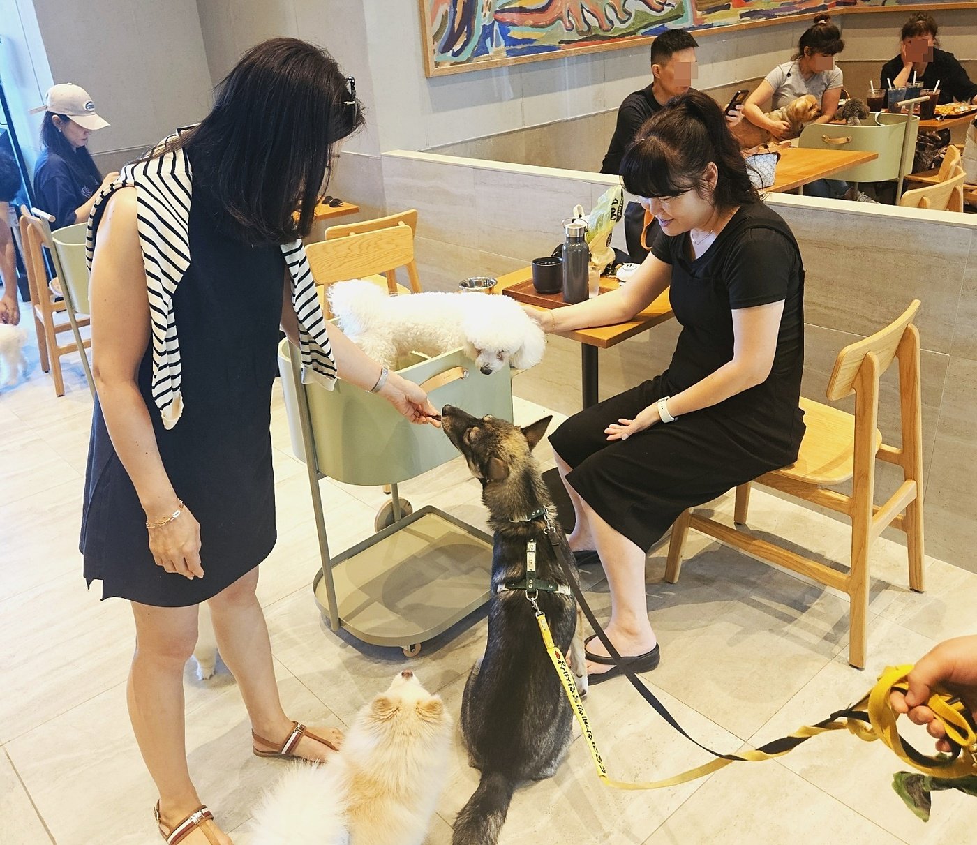 본문 이미지 - 지난 9일 스타벅스 더북한강R점에서 진행된 '놀다가시개' 입양행사에 참여한 보호동물 '길구'가 고객들과 시간을 보내고 있다. (동행 제공) ⓒ 뉴스1