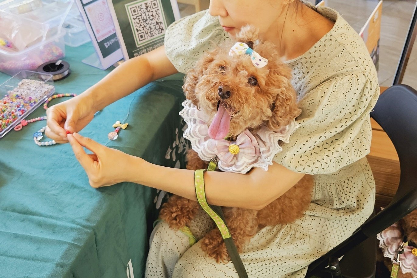 본문 이미지 - 세상에 하나뿐인 반려견 비즈 목걸이 체험을 하고 있는 보호자와 반려견 (동행 제공) ⓒ 뉴스1