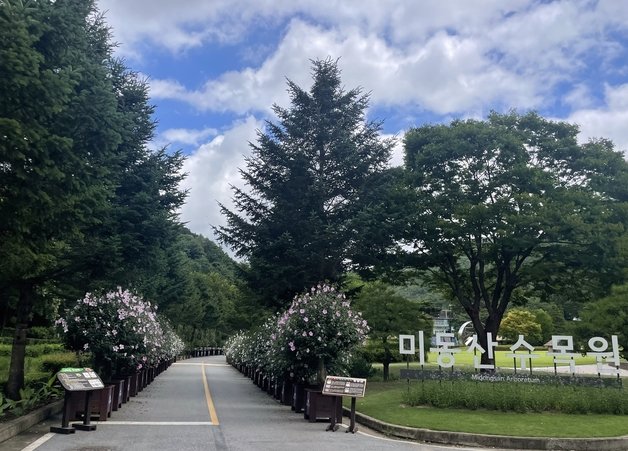 미동산수목원 무궁화 분화 전시.&#40;진천군 제공&#41;/뉴스1