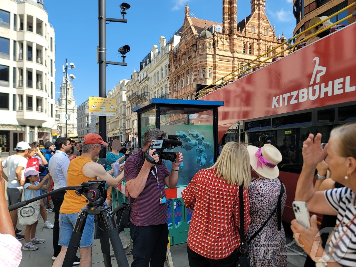 본문 이미지 - 11일&#40;현지시각&#41; 오후 런던 루드게이트힐에 있는 한 경찰 초소 외관에 뱅크시의 일곱 번째 동물 시리즈 작품 &#39;피라냐 떼&#39;가 공개되자 인파가 몰려들어 사진을 찍고 있다.  2024.08.11/ⓒ 뉴스1 조아현 통신원