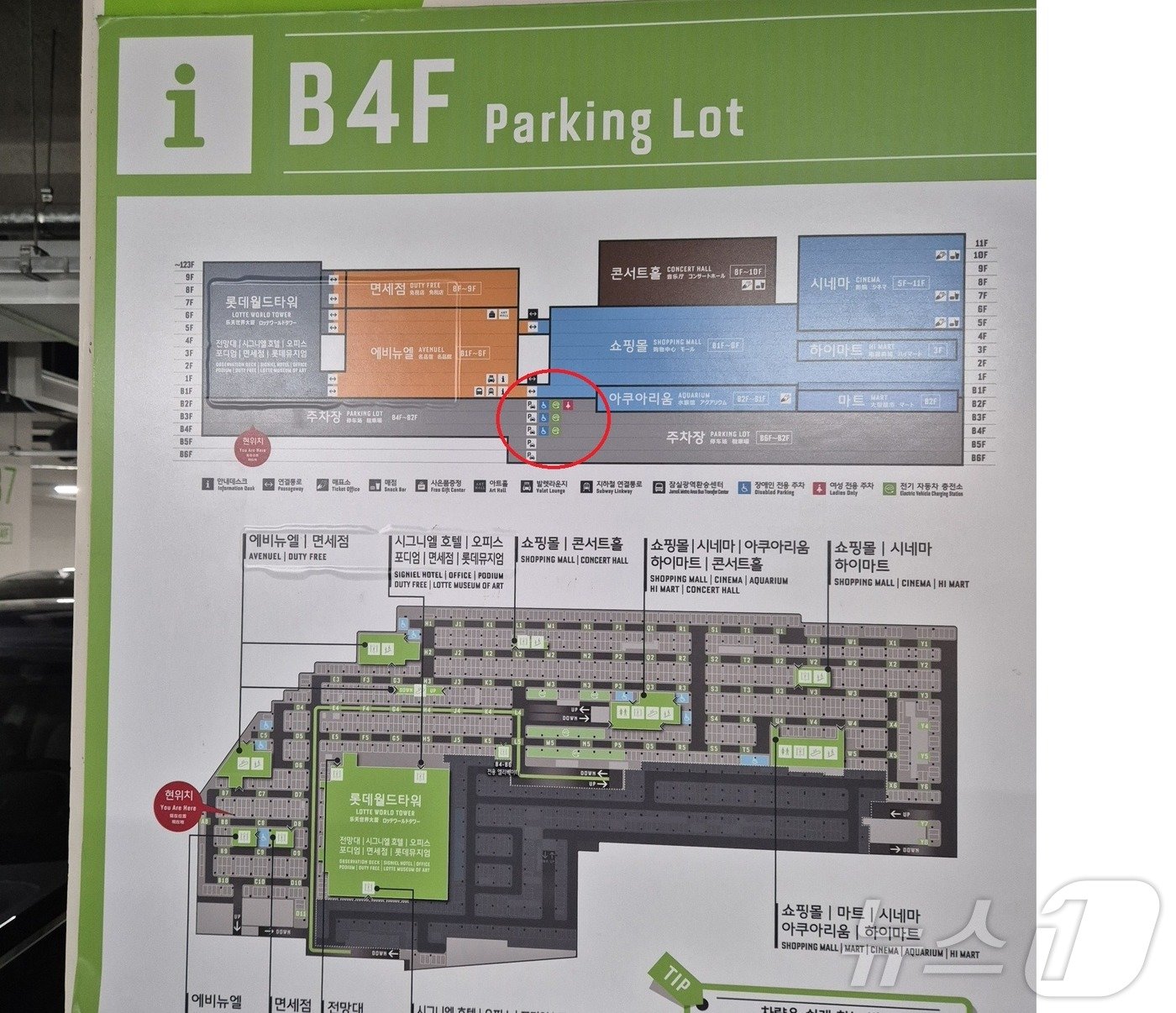 본문 이미지 - 서울 송파구 잠실 롯데월드몰 지하주차장 약도. 지하 4층까지 전기차 충전구역(원 표시된 부분)이 운영되고 있다.ⓒ 뉴스1