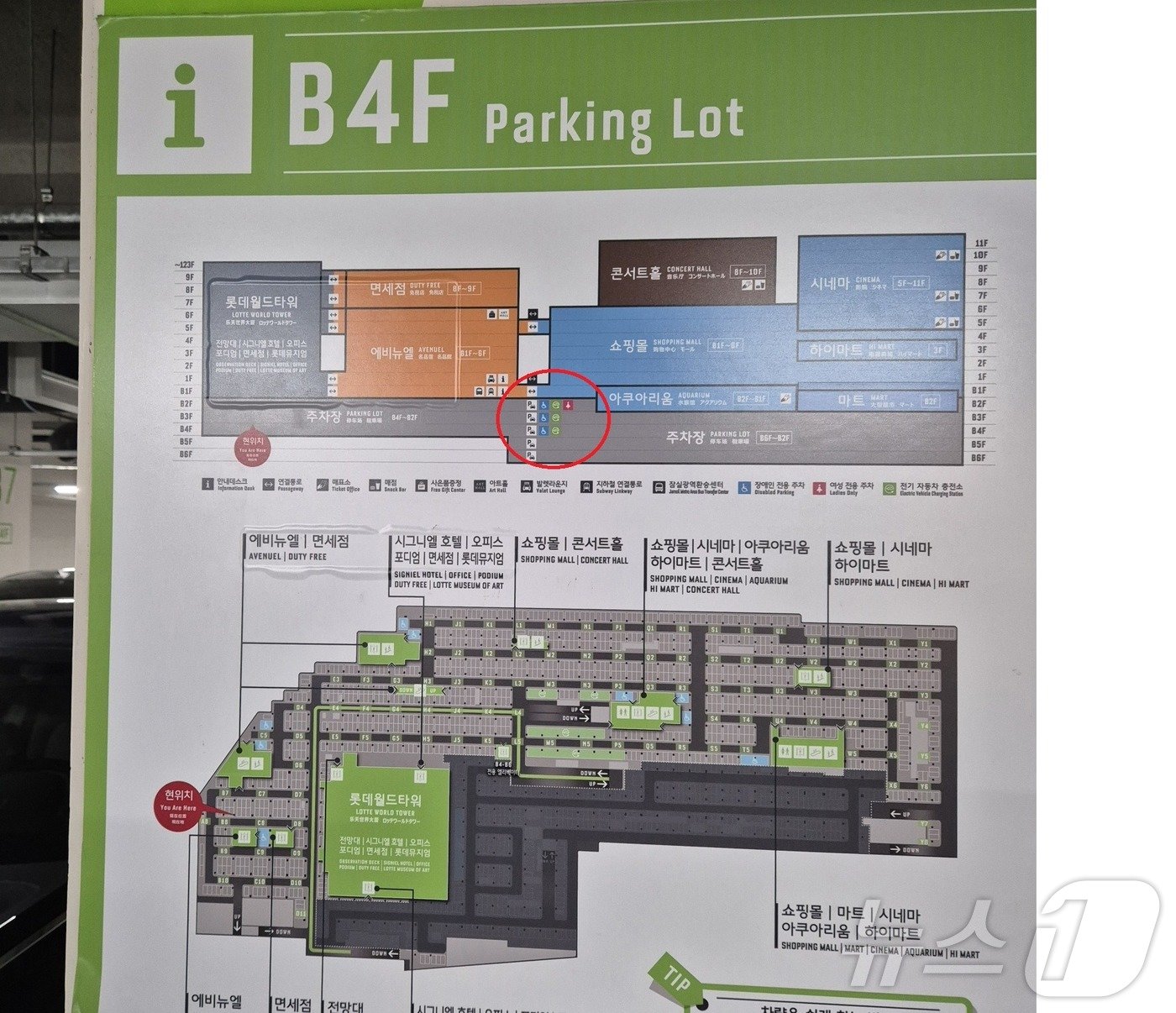 서울 송파구 잠실 롯데월드몰 지하주차장 약도. 지하 4층까지 전기차 충전구역&#40;원 표시된 부분&#41;이 운영되고 있다.ⓒ 뉴스1