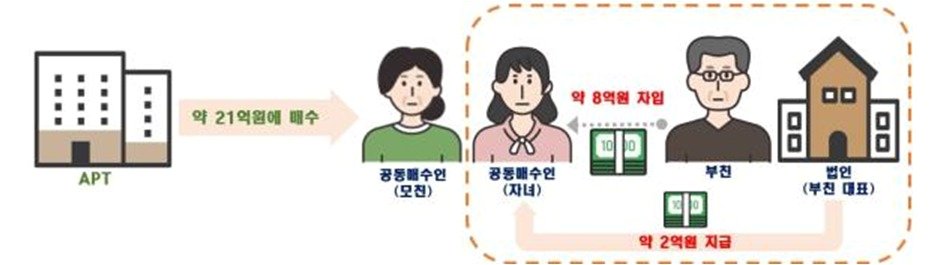 본문 이미지 - 차입금 활용 편법증여 의심사례.(국토교통부 제공)