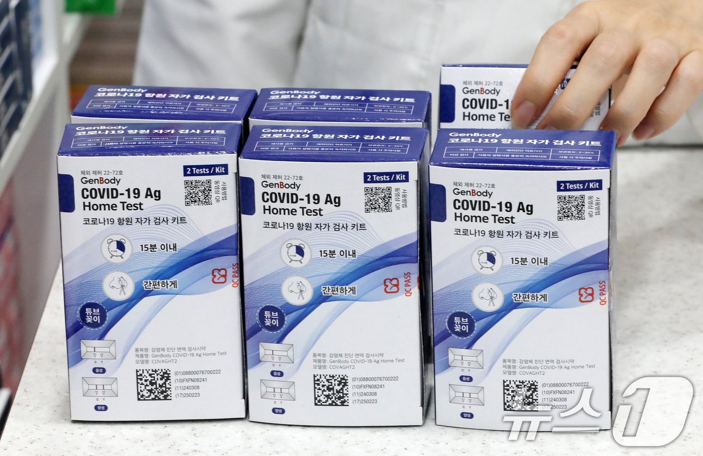 본문 이미지 - 13일 서울시내 한 약국에서 코로나19 진단키트를 판매하고 있다.  2024.8.13/뉴스1 ⓒ News1 박세연 기자