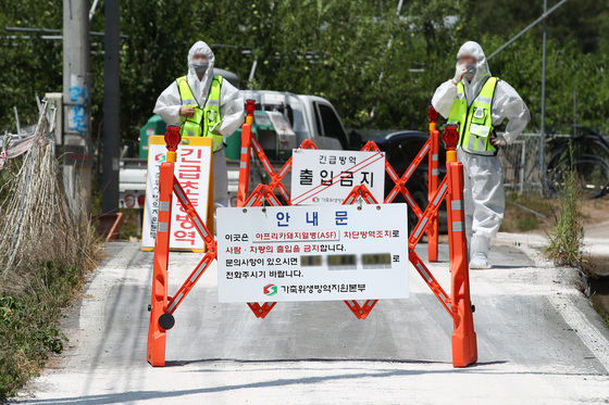 경북도 "김천 ASF, 익산 공장 제조 사료가 원인"…전량 회수·폐기
