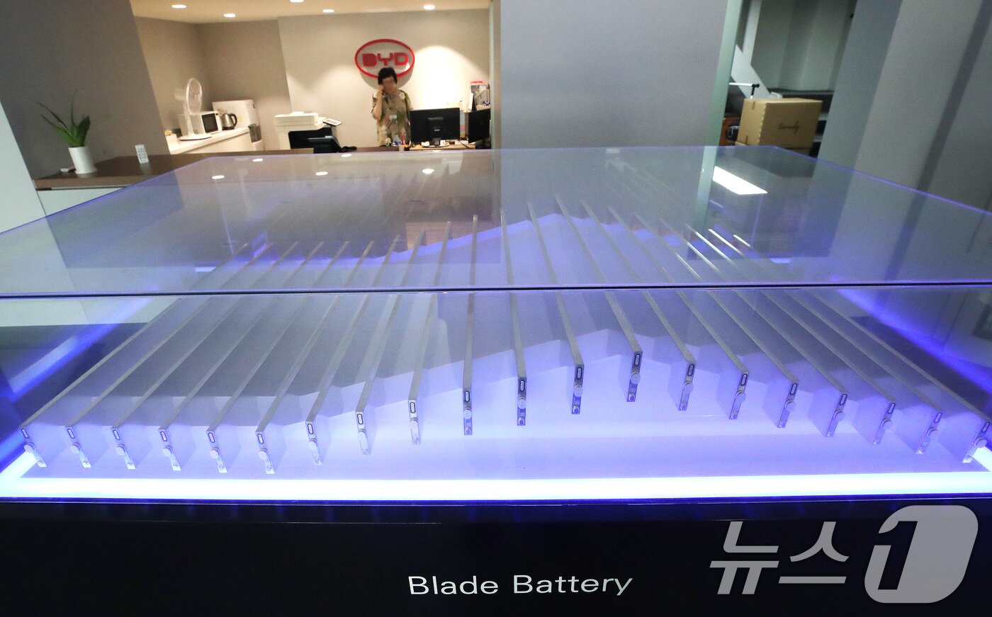 본문 이미지 - 2024년 8월 서울 시내에 위치한 중국 BYD 매장에 BYD 전기차에 탑재되는 LFP 배터리 모형이 전시된 모습(자료사진)  2024.8.13/뉴스1 ⓒ News1 임세영 기자