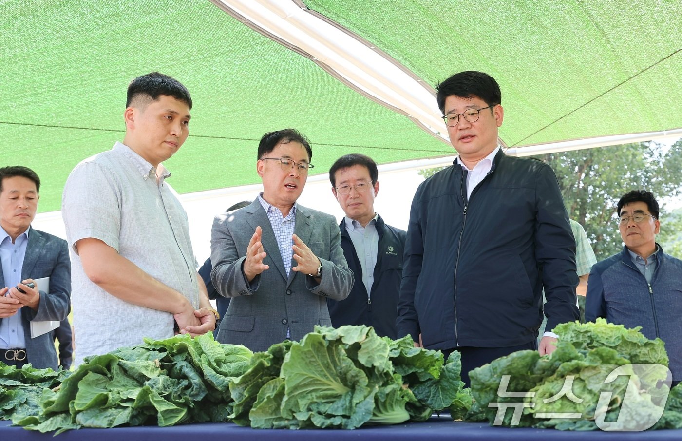 권재한 농촌진흥청장이 강원도 평창군 국립원예특작과학원 진부시험지에서 여름배추 수급 안정을 위한 준고랭지 신작형 생산기술 연구 상황을 점검하고 있다. &#40;농촌진흥청 제공&#41; 2024.8.13/뉴스1