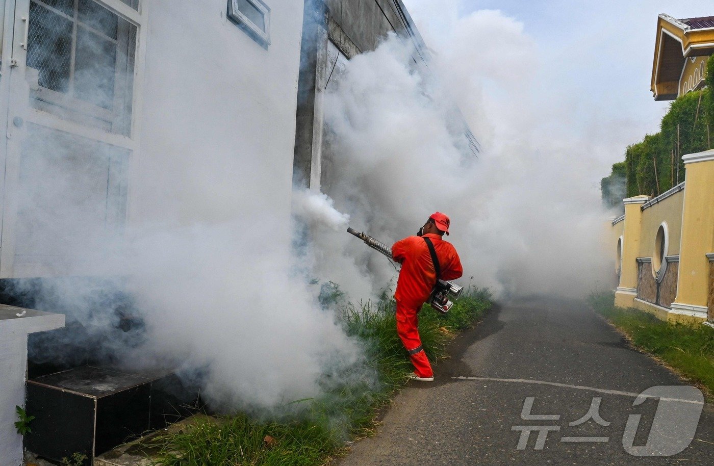 본문 이미지 - 인도네시아 반다야체 방역 요원이 13일 뎅기열을 옮기는 모기 퇴치를 위해 연막 소독을 실시하고 있다.  2024.08.13 ⓒ AFP=뉴스1 ⓒ News1 김지완기자