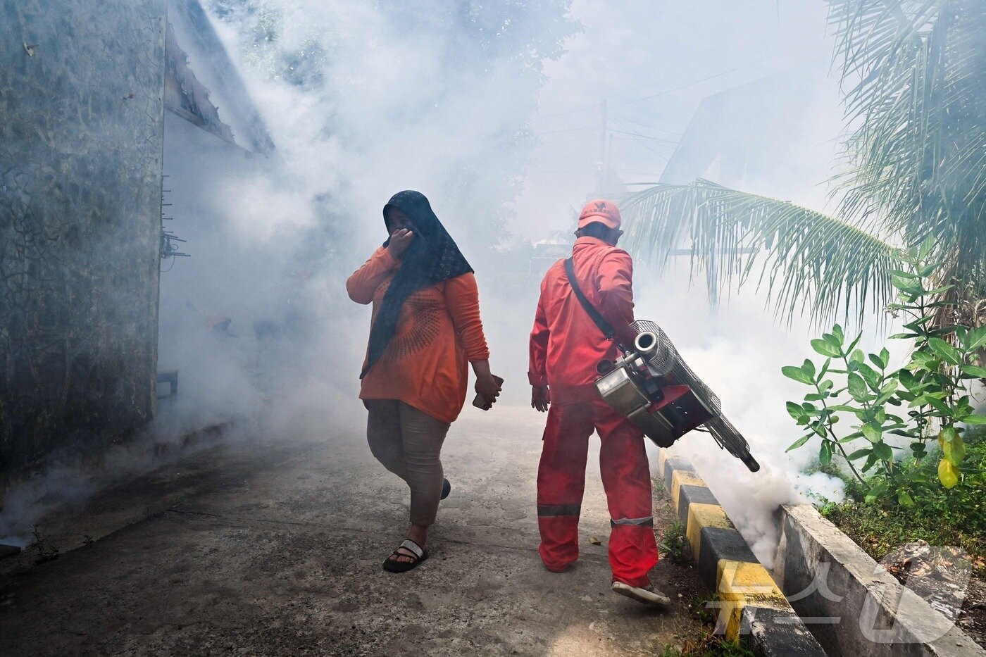 본문 이미지 - 인도네시아 반다야체 방역 요원이 13일 뎅기열을 옮기는 모기 퇴치를 위해 연막 소독을 실시하고 있다.  2024.08.13 ⓒ AFP=뉴스1