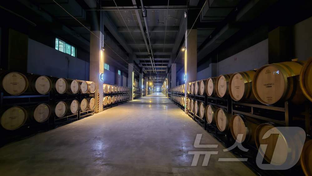 본문 이미지 - 창천 톈푸 와이너리의 와인 저장고