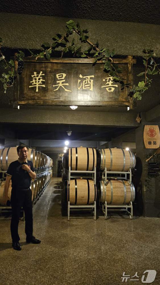본문 이미지 - 화하오 와이너리의 와인 저장고.