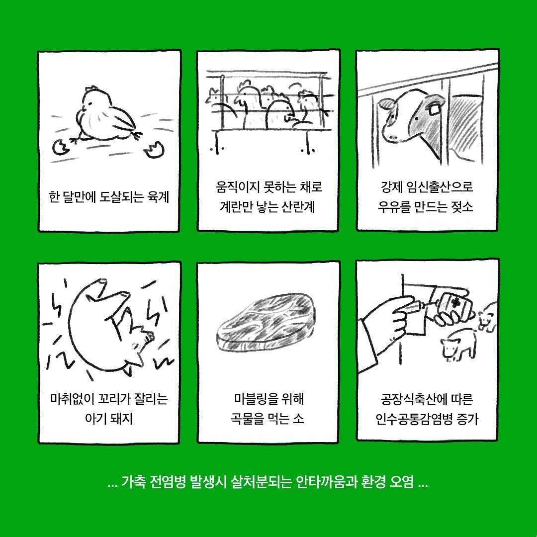 동물자유연대, 어웨어 등에 따르면, 고기 생산을 위해 사육되는 동물들은 공장식 축산 형태로 본래 습성을 억압당한 채 살아간다. &#40;그린블리스 제공&#41; ⓒ 뉴스1