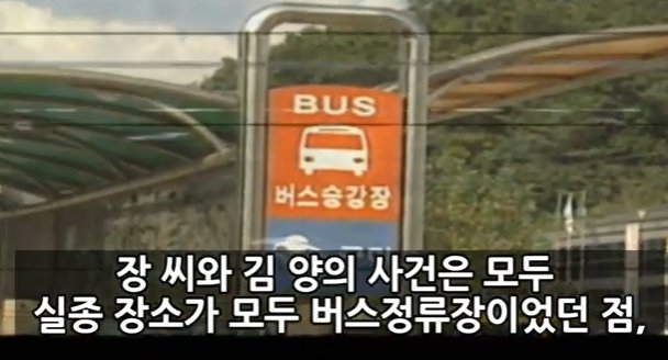 본문 이미지 - (유튜브 채널 '미스터리 요정' 갈무리)