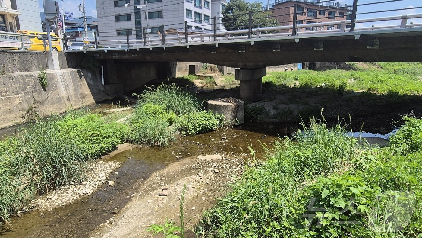 14일 낮 12시께 경기 양평군 양평읍 양근천이 연일 계속되는 폭염에 바닥을 보이고 있다. 2024.08.14/뉴스1 양희문 기자 