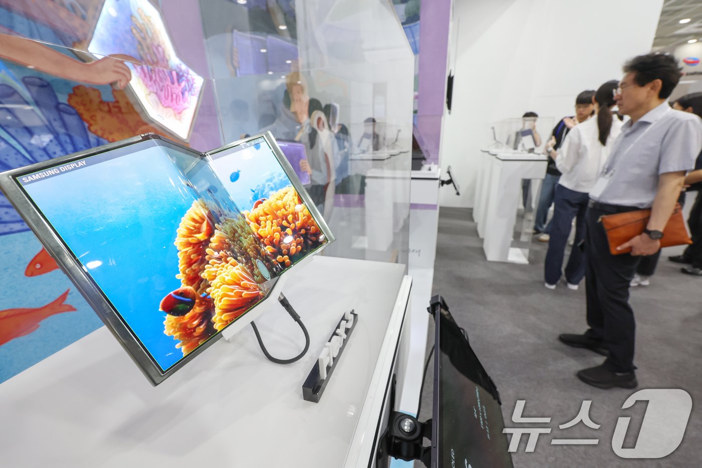 본문 이미지 - 14일 서울 강남구 코엑스에서 열린 '2024 한국디스플레이산업 전시회'에 마련된 삼성 디스플레이 부스를 찾은 관람객들이 폴더블 디스플레이를 살펴보고 있다. 2024.8.14/뉴스1 ⓒ News1 민경석 기자