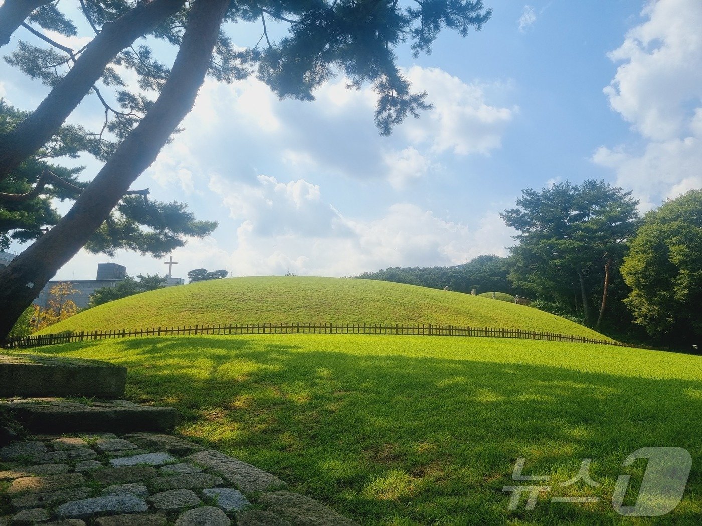 본문 이미지 - 선릉 훼손 현장이 통제되고 있는 모습. 2024.8.14/뉴스1 ⓒ News1 박혜연 기자