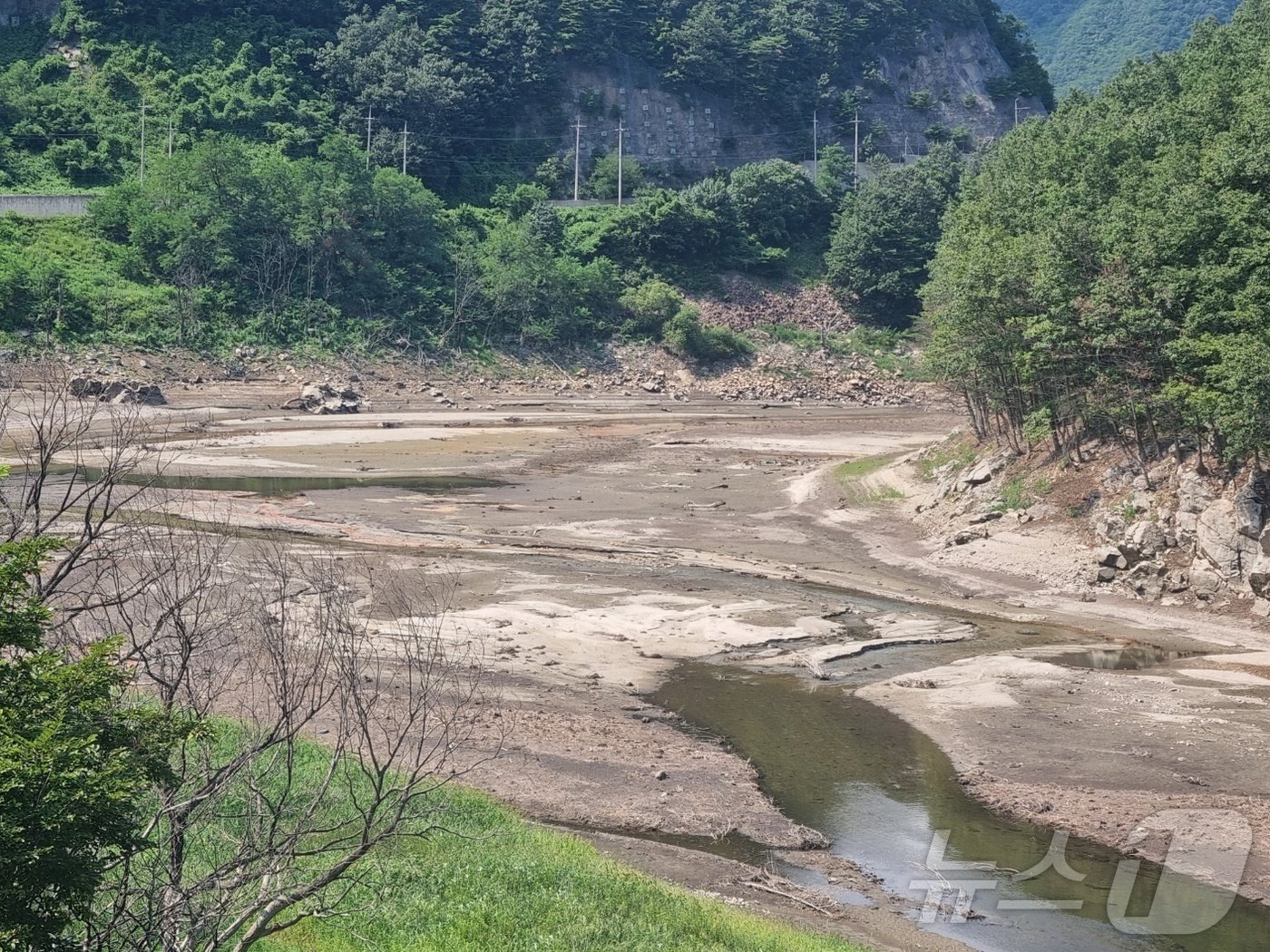 본문 이미지 - 무더위가 이어진 14일 강원 강릉시 성산면 오봉저수지 인근 도마천 일대가 바닥을 드러내고 있다. 이날 기준 강릉 오봉저수지 저수율은 39.3%로 전국 평균(75.4%)보다 현저히 낮은 수준을 보이고 있다. 2024.8.14/뉴스1 ⓒ News1 윤왕근 기자