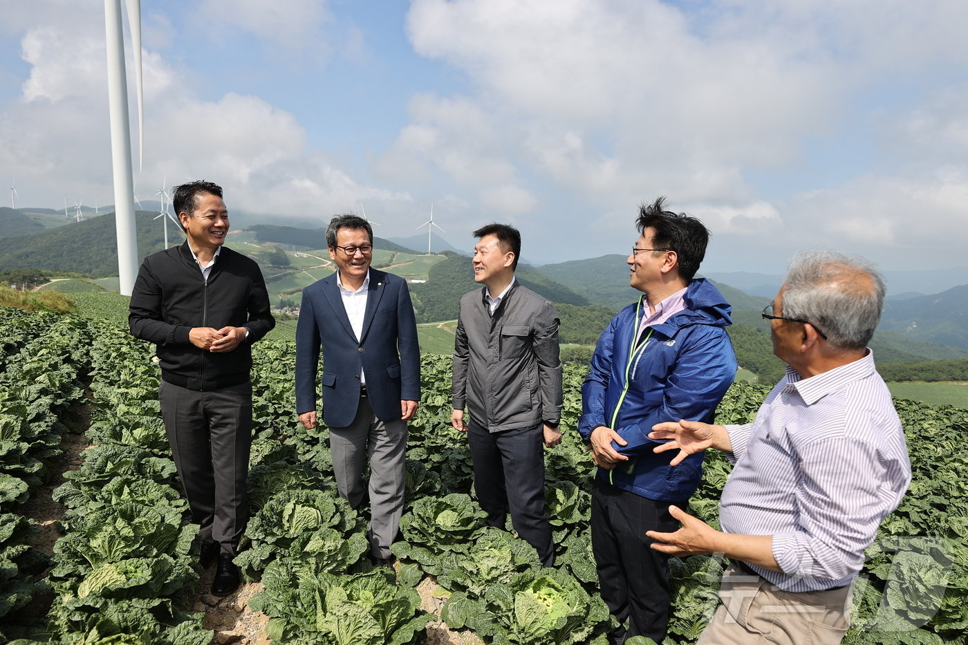 무더위가 이어진 14일 김범석 기획재정부 차관&#40;사진 오른 두번째&#41;과 김홍규 강원 강릉시장&#40;사진 왼쪽 두번째&#41; 등이 강릉지역 고랭지 채소 재배지인 왕산면 대기리 안반데기를 찾아 폭염 속 채소 작황 점검을 실시하고 있다.&#40;강릉시 제공&#41; 2024/8/14/뉴스1 ⓒ News1 윤왕근 기자