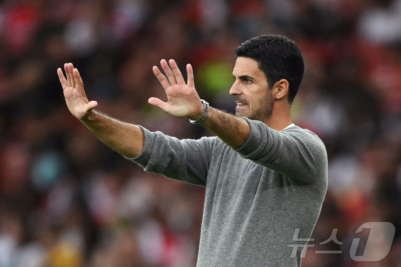 본문 이미지 - 미켈 아르테타 아스널 감독.  ⓒ AFP=뉴스1