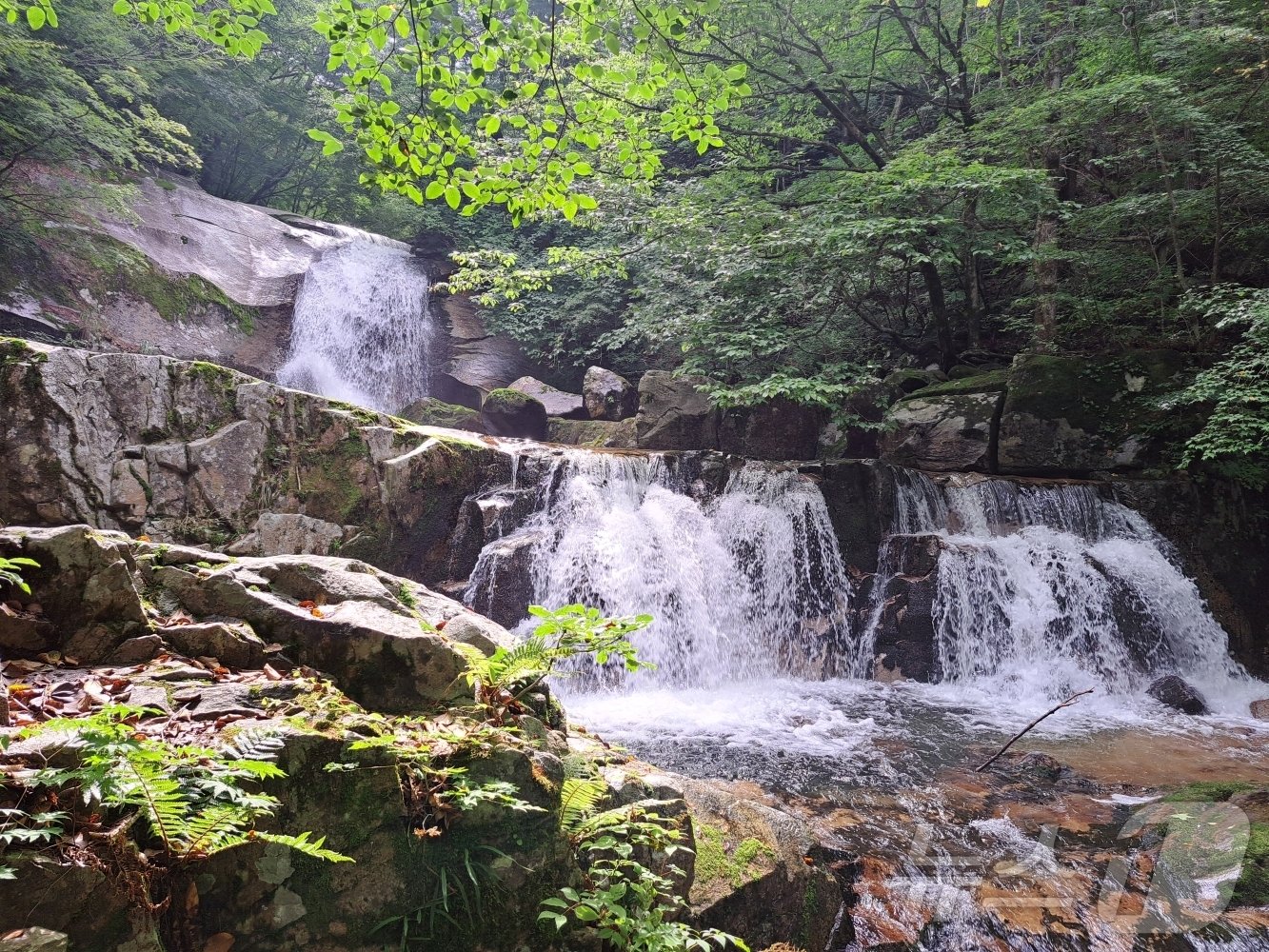  방태산 이단폭포&#40;산림청 국립자연휴양림관리소 제공&#41;/뉴스1 