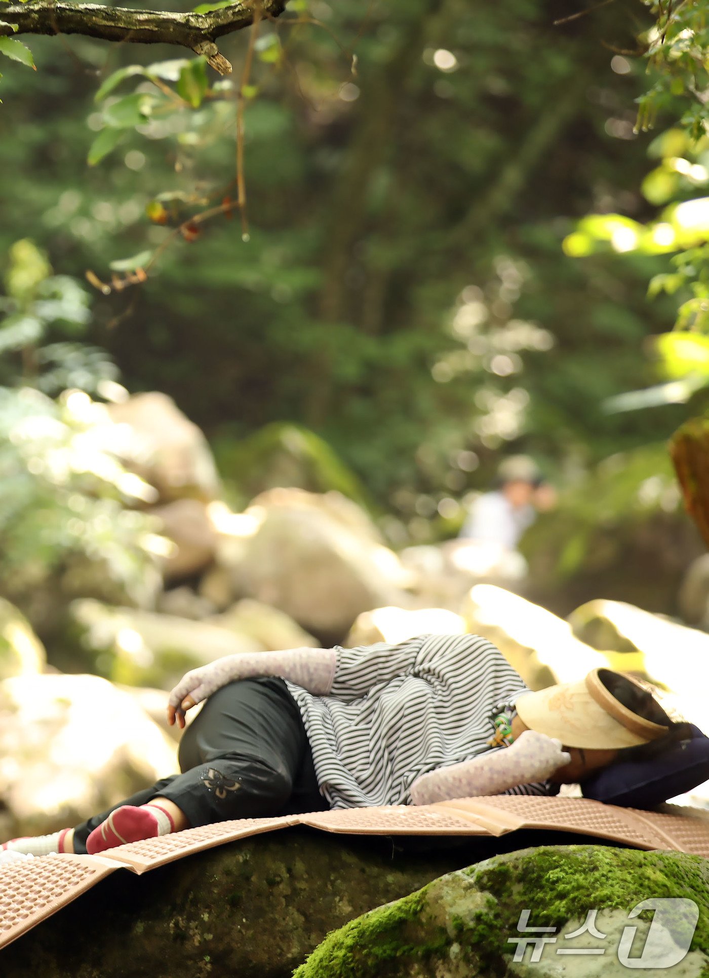 본문 이미지 - 17일 오전 광주 북구 금곡동 무등산 원효사 계곡을 찾은 피서객이 낮잠을 자고 있다.2024.8.17/뉴스1 ⓒ News1 박지현 기자