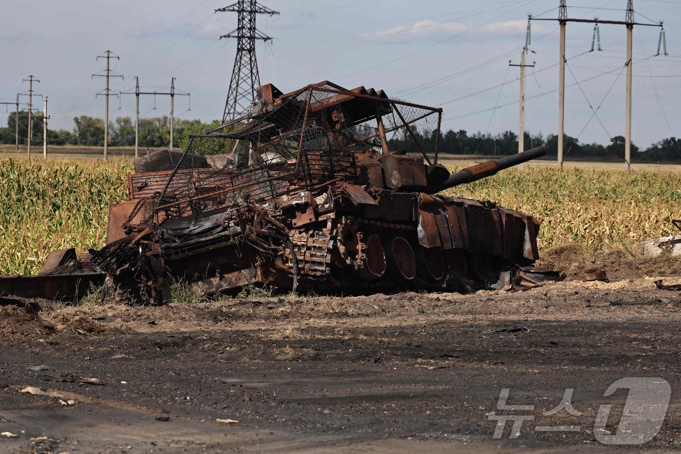 본문 이미지 - 16일 (현지시간) 우크라이나 군이 점령한 러시아 쿠르스크 수자에서 파괴된 러시아 군 탱크가 보인다. 2024.08.17 ⓒ AFP=뉴스1 ⓒ News1 우동명 기자