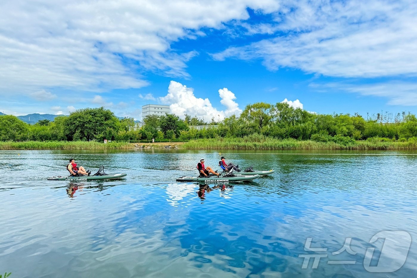 본문 이미지 - 17일 오전 강원 동해시 전천 일원에서 개최된 2024 동해시 전천배 페달카약대회에 에서 참가자들이 힘찬 레이스를 펼치고 있다.(동해시 제공) 2024.8.17/뉴스1 ⓒ News1 윤왕근 기자