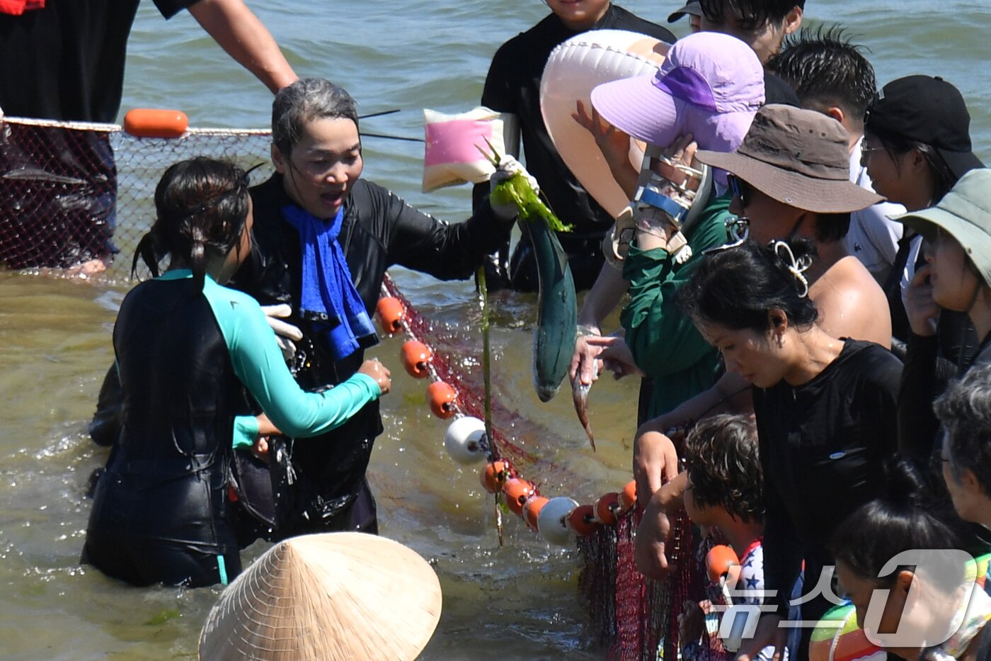 본문 이미지 - 17일 경북 포항시 북구 영일대해수욕장에서 열린 '황금물고기를 잡아라'에 참여한 시민과 관광객들이 잡은 물고기를 자랑하고 있다. 2024.8.17/뉴스1 ⓒ News1 최창호 기자