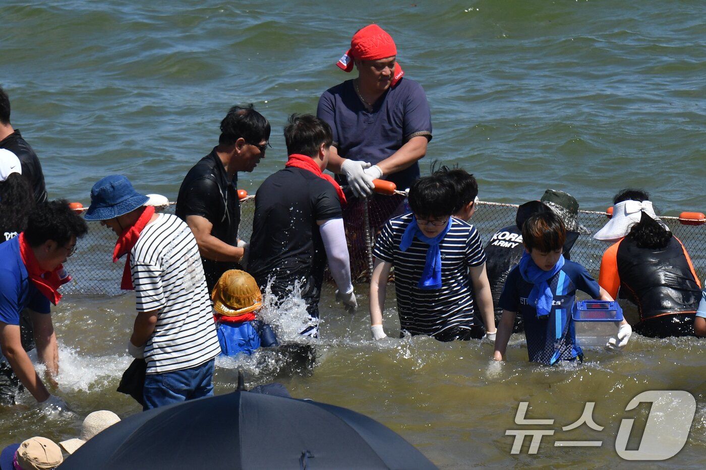 본문 이미지 - 17일 경북 포항시 북구 영일대해수욕장에서 열린 '황금물고기를 잡아라'에 참여한 시민과 관광객들이 황금물고기를 찾아 다니고 있다. 2024.8.17/뉴스1 ⓒ News1 최창호 기자