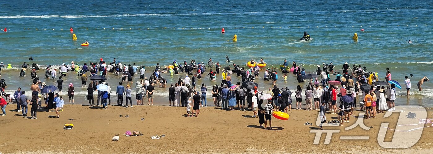 본문 이미지 - 17일 경북 포항시 북구 영일대해수욕장에서 열린 '황금물고기를 잡아라'행사에서 시민과 관광객들이 황금물고기를 찾아 다니고 있다. 2024.8.17/뉴스1 ⓒ News1 최창호 기자