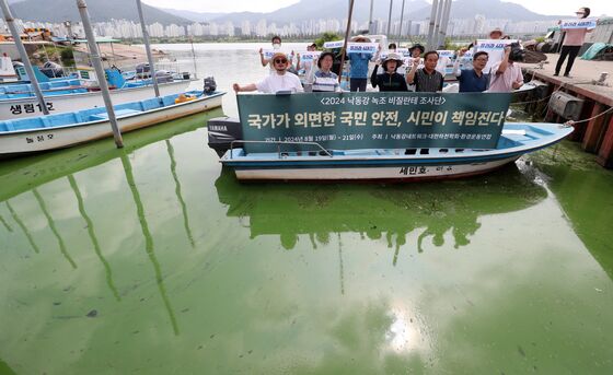 낙동강 녹조, 채수-경보 시차 줄인다…공기 중 독소 조사도 확대·강화