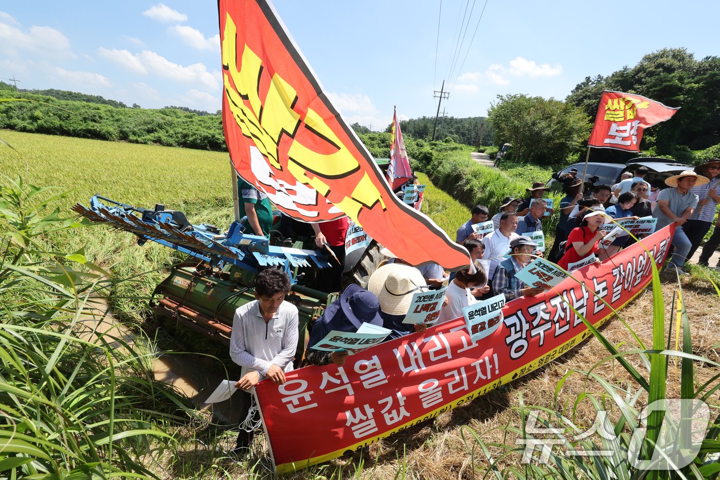 본문 이미지 - 전국농민회총연맹 광주전남연맹 조합원들이 19일 오전 전남 영광군 대마면 화평리 한 논에서 논 갈아엎기 투쟁을 열고 '나락값 8만원 보장'을 촉구하고 있다. 2024.8.19/뉴스1 ⓒ News1 김태성 기자