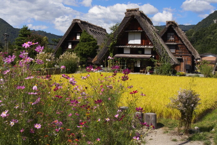 본문 이미지 - 사진=한진관광 제공