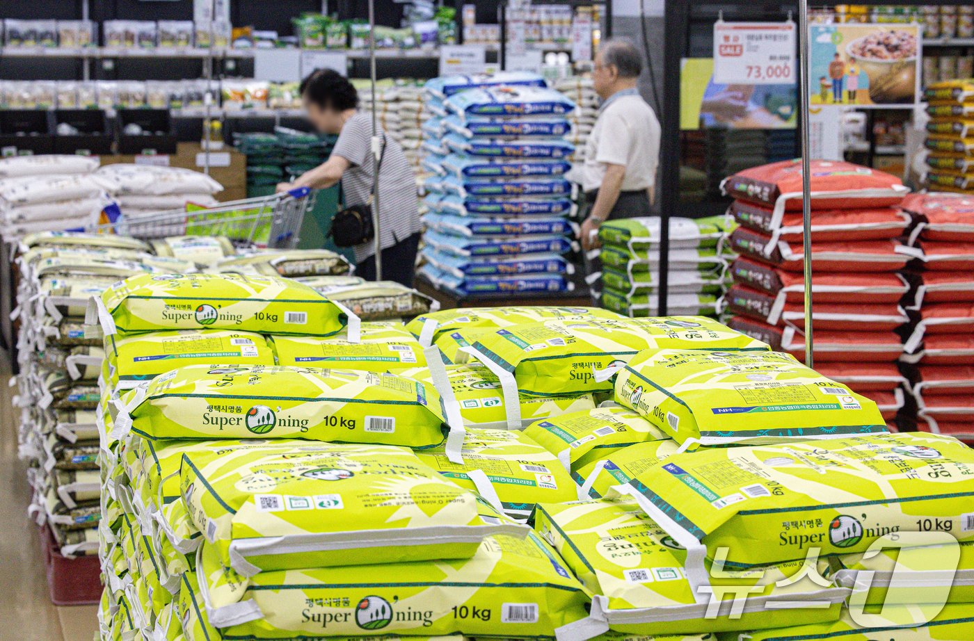본문 이미지 - 쌀값 하락세가 지속되고 있는 20일 서울의 한 대형마트에서 시민들이 쌀을 고르고 있다. 2024.8.20/뉴스1 ⓒ News1 이재명 기자